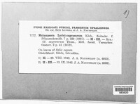 Image Associated With the Occurence